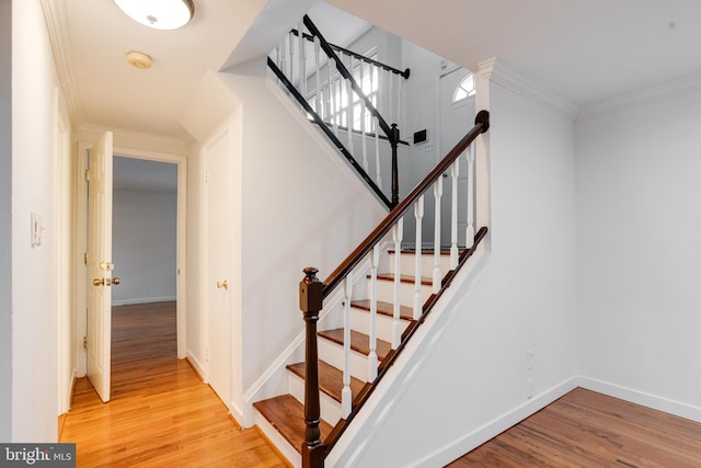 5 Wood Oak, Nottingham, MD 21236 - staircase featuring wood finished floors and ornamental molding