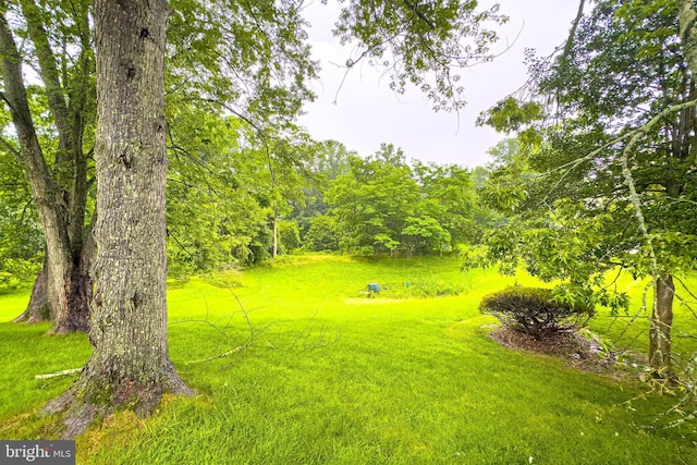 5 Wood Oak, Nottingham, MD 21236 - view of grassy yard