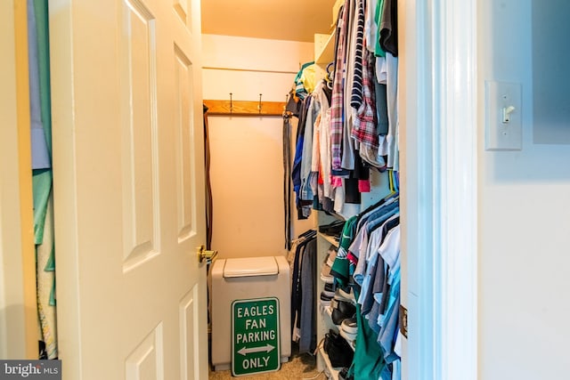 view of spacious closet