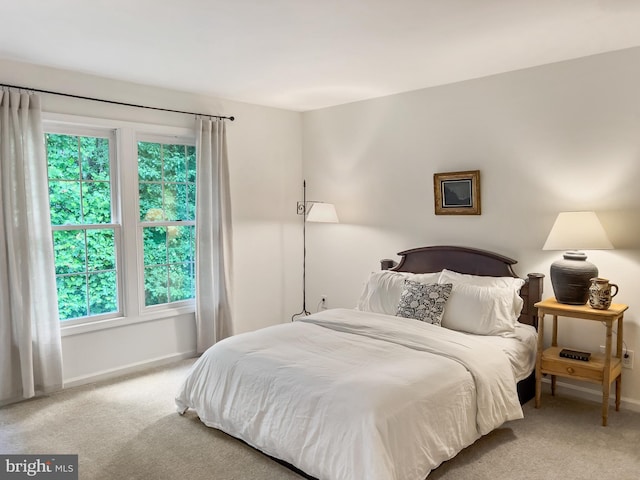 11600 Saddleback Dr, Fredericksburg, VA 22407 - carpeted bedroom featuring baseboards