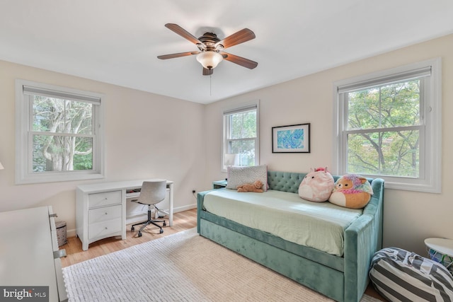 2901 N Rochester St, Arlington, VA 22213 - bedroom featuring light wood-style flooring, baseboards, and a ceiling fan