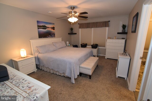 359 Eagle Way, Smyrna, DE 19977 - bedroom featuring carpet floors and ceiling fan