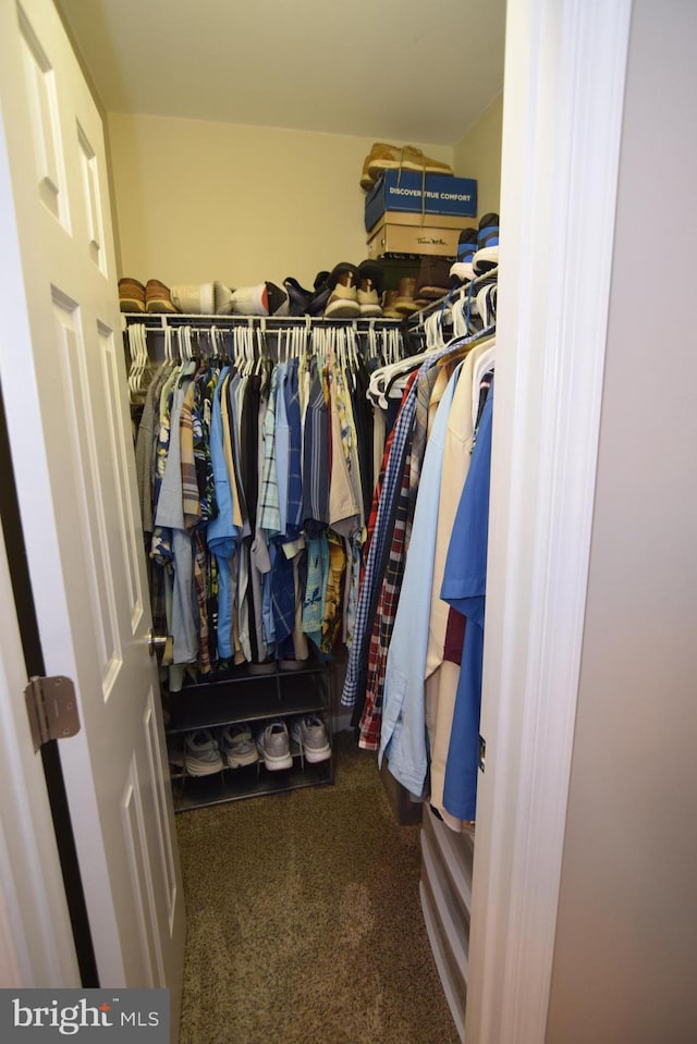 359 Eagle Way, Smyrna, DE 19977 - walk in closet featuring carpet flooring