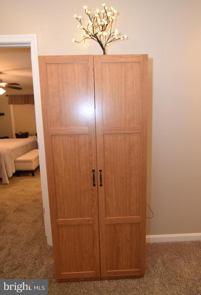 359 Eagle Way, Smyrna, DE 19977 - view of closet