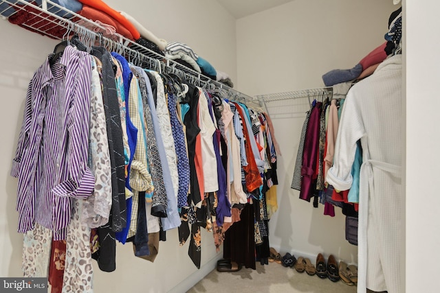 walk in closet with carpet floors