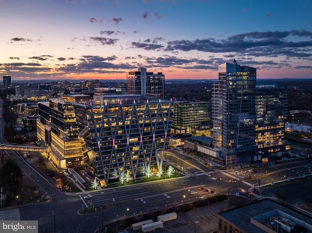 11244 Faraday Park Dr, Reston, VA 20190 - city view