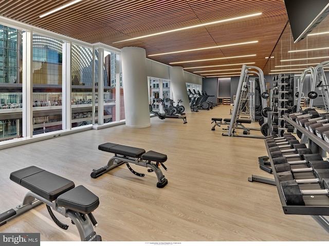 exercise room featuring a wall of windows and wood finished floors