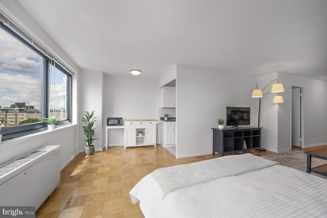 1601 18th St NW Unit 1015, Washington, DC 20009 - bedroom featuring radiator heating unit and baseboards