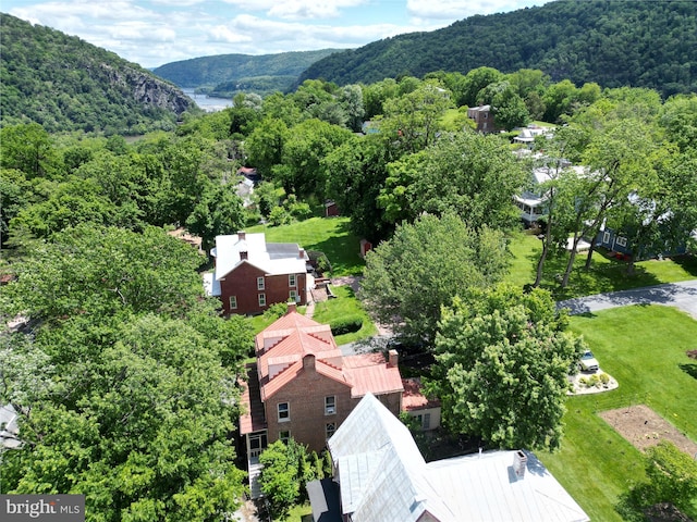 501 Park Row Pl, Harpers Ferry, WV 25425 - drone / aerial view of a forest and a mountain backdrop