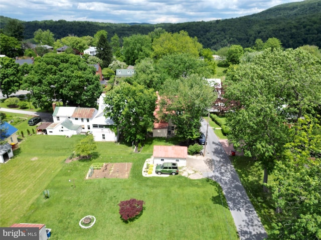 501 Park Row Pl, Harpers Ferry, WV 25425 - aerial view of a forest