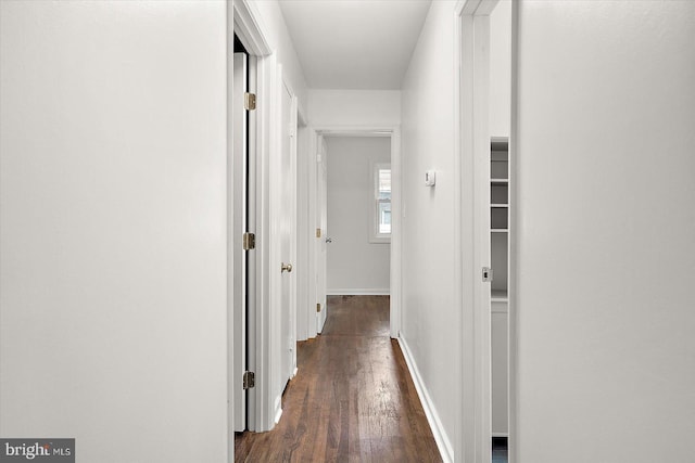 104 Louise Ave, Salisbury, MD 21804 - hall with dark wood-type flooring and baseboards