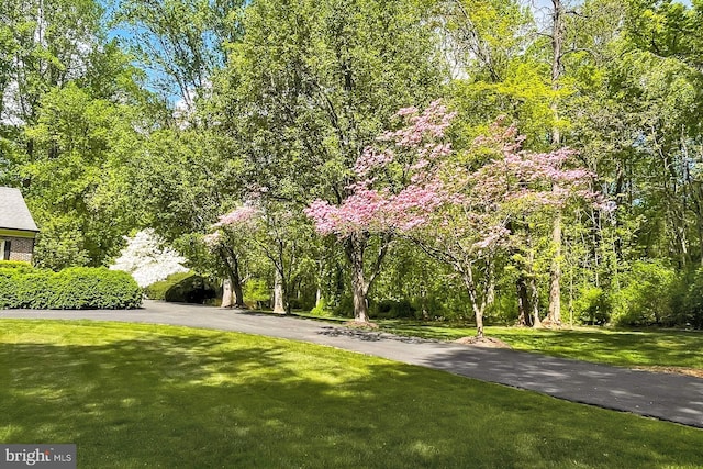 7808 Devereux Manor Ct, Fairfax Station, VA 22039 - view of property's community with a lawn