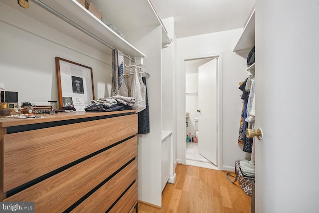 walk in closet with light wood-style flooring