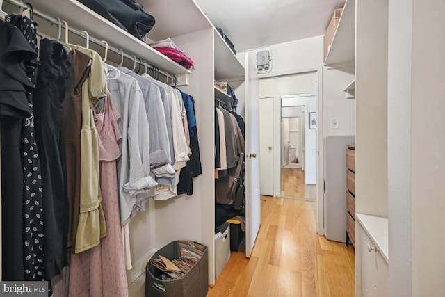 spacious closet with light wood-type flooring