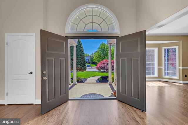 4 Stults Dr, Plainsboro, NJ 08536 - entryway with wood finished floors, healthy amount of natural light, a high ceiling, and baseboards