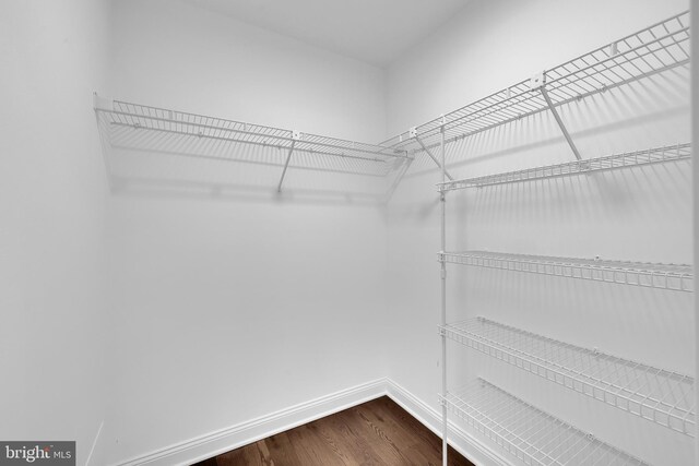 4 Stults Dr, Plainsboro, NJ 08536 - walk in closet featuring dark wood-style flooring