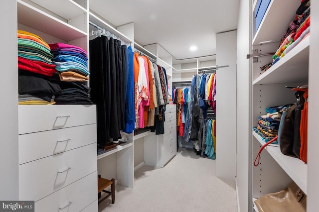 902 Emerald Dr, Alexandria, VA 22308 - spacious closet featuring carpet floors