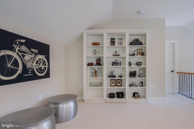 902 Emerald Dr, Alexandria, VA 22308 - detailed view of carpet and a smoke detector