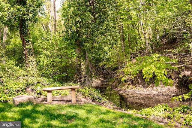 902 Emerald Dr, Alexandria, VA 22308 - view of property's community