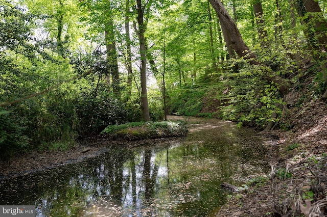 902 Emerald Dr, Alexandria, VA 22308 - water view with a heavily wooded area
