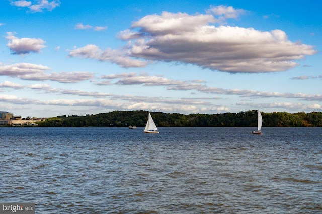 902 Emerald Dr, Alexandria, VA 22308 - water view featuring a forest