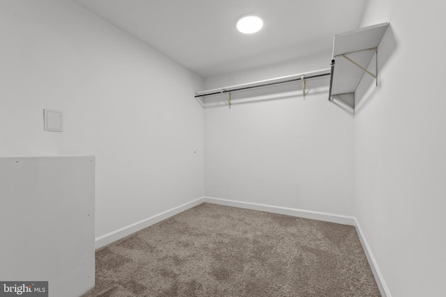 502 Pride Of Baltimore Dr, Arnold, MD 21012 - spacious closet with carpet flooring