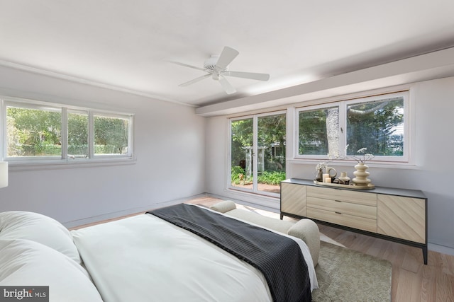 60 Holly, Long Beach Township, NJ 08008 - bedroom with multiple windows, light wood-type flooring, and ceiling fan