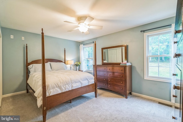 134 Whitaker Ave, North East, MD 21901 - bedroom with multiple windows and carpet flooring