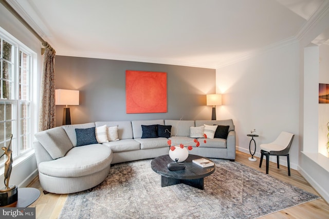 16340 Sandy Ridge Ct, Woodbridge, VA 22191 - living area with ornamental molding, wood finished floors, and baseboards