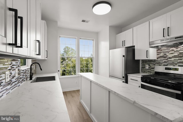 kitchen with under cabinet range hood, stainless steel appliances, a sink, tasteful backsplash, and light stone counters