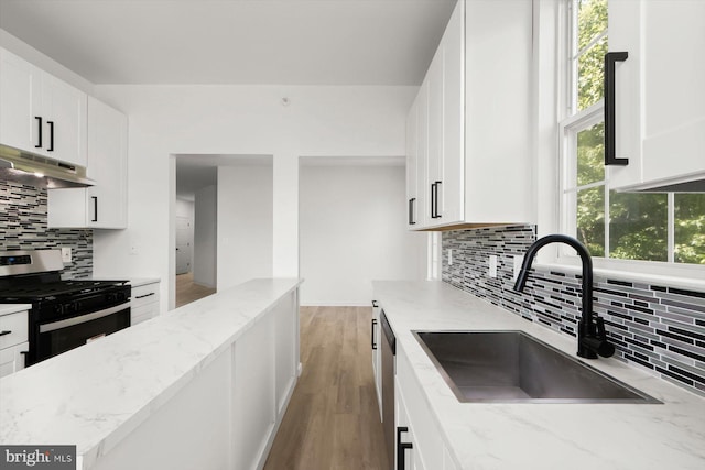 kitchen featuring appliances with stainless steel finishes, under cabinet range hood, a sink, decorative backsplash, and light stone counters