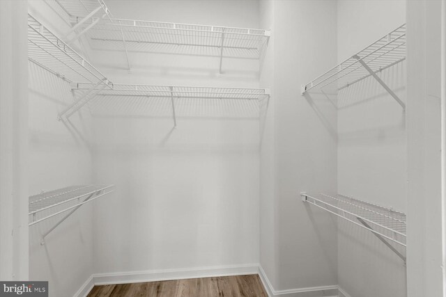 walk in closet featuring wood finished floors