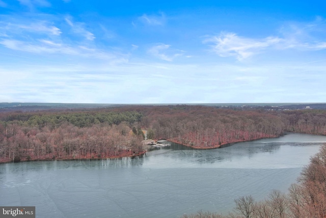 water view featuring a heavily wooded area