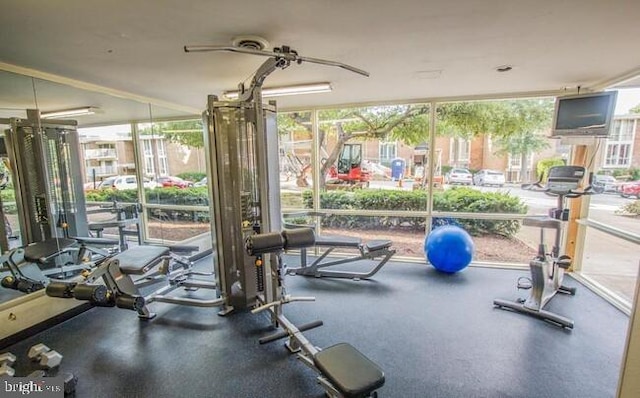 2624 Redcoat Dr Unit 2B, Alexandria, VA 22303 - gym featuring expansive windows
