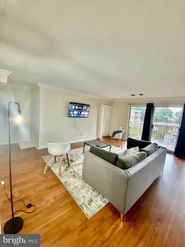 2624 Redcoat Dr Unit 2B, Alexandria, VA 22303 - living area featuring crown molding, wood finished floors, and baseboards