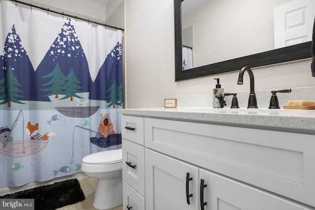 309 N Glebe Rd, Montross, VA 22520 - full bathroom featuring toilet, vanity, and curtained shower