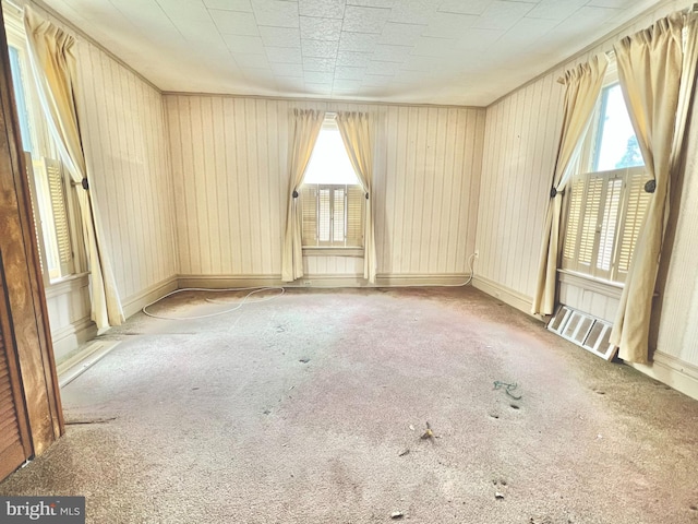 203 N Cedar St, Lititz, PA 17543 - unfurnished room featuring healthy amount of natural light, carpet, and wooden walls