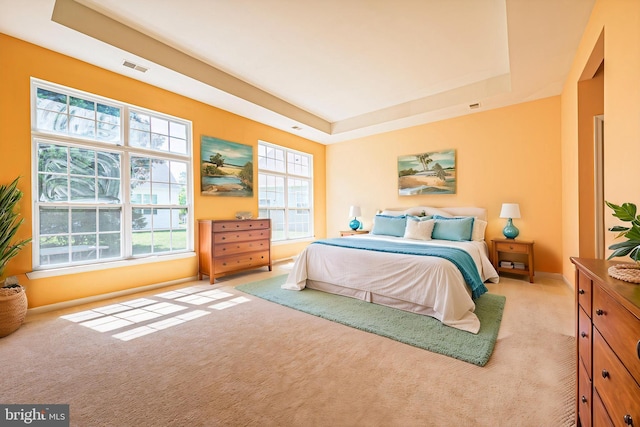 bedroom featuring carpet floors, a tray ceiling, and baseboards