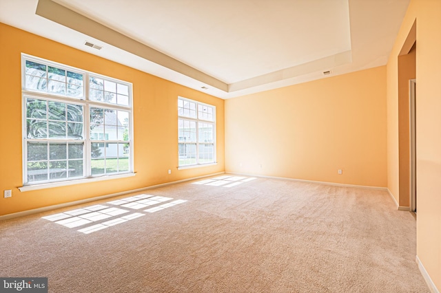 carpeted spare room with a raised ceiling and baseboards