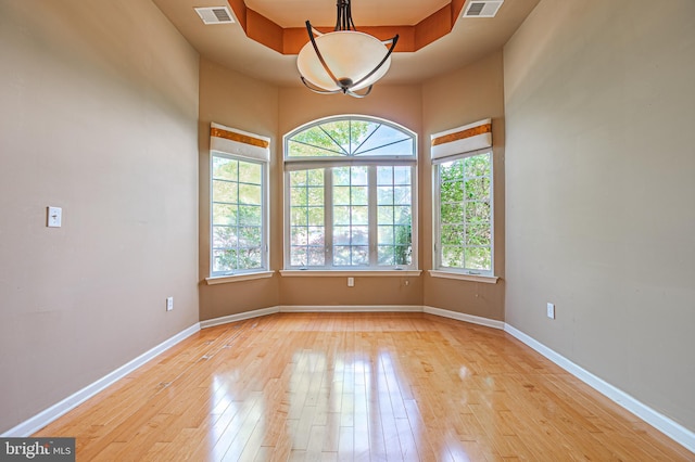 spare room featuring healthy amount of natural light, light wood-style floors, and baseboards