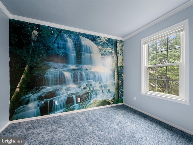 1110 Huntmaster Ter NE Unit 302, Leesburg, VA 20176 - carpeted spare room featuring crown molding and baseboards