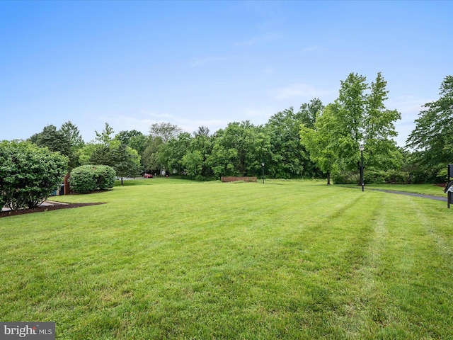 1110 Huntmaster Ter NE Unit 302, Leesburg, VA 20176
