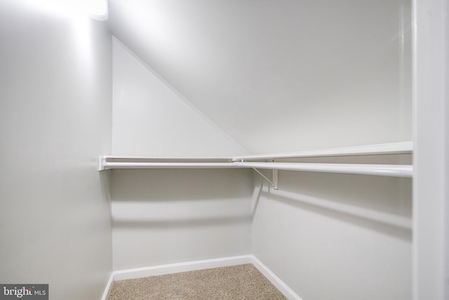 3411 Roselawn Ave, Baltimore, MD 21214 - walk in closet with carpet floors and vaulted ceiling