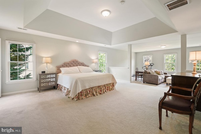 bedroom with a raised ceiling, light carpet, and multiple windows