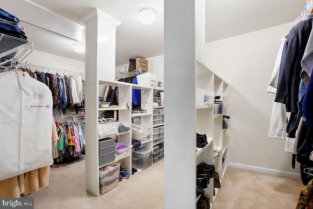walk in closet with carpet