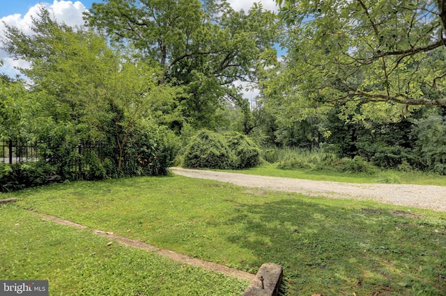 314 Bohemia Ave, Chesapeake City, MD 21915 - view of yard