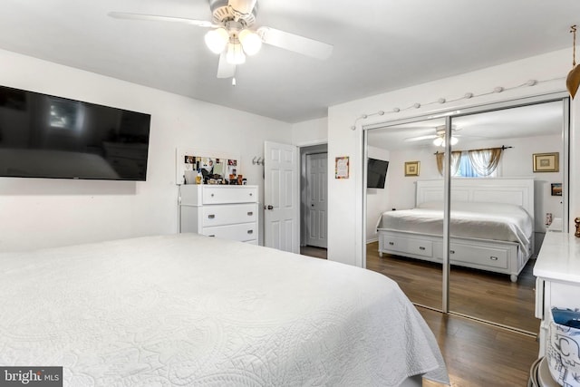 602 Lippincott Ave, Riverton, NJ 08077 - bedroom with dark wood-style flooring, a closet, and ceiling fan