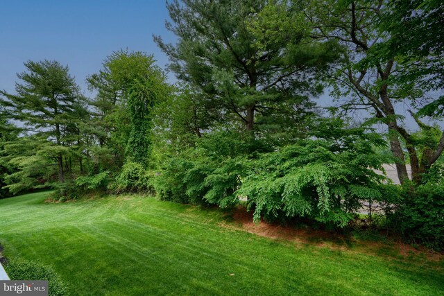 1 Brooking Ct Unit 202, Lutherville Timonium, MD 21093 - view of grassy yard