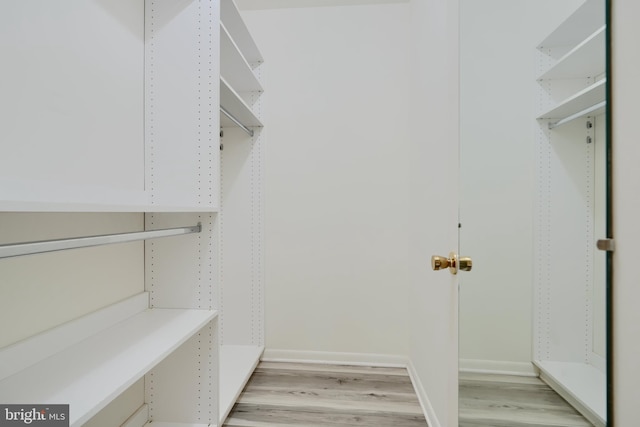 1 Brooking Ct Unit 202, Lutherville Timonium, MD 21093 - spacious closet with light wood-style floors