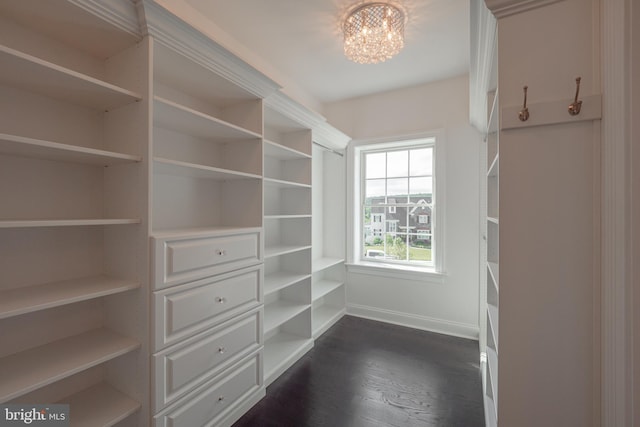 1337 Carolannes Way Unit B6, West Chester, PA 19382 - spacious closet with a chandelier and dark wood-style flooring